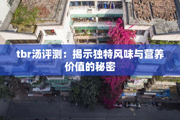 tbr汤评测：揭示独特风味与营养价值的秘密