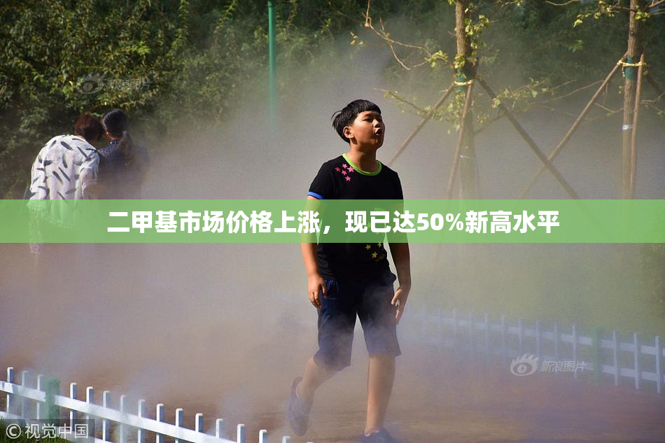 二甲基市场价格上涨，现已达50%新高水平