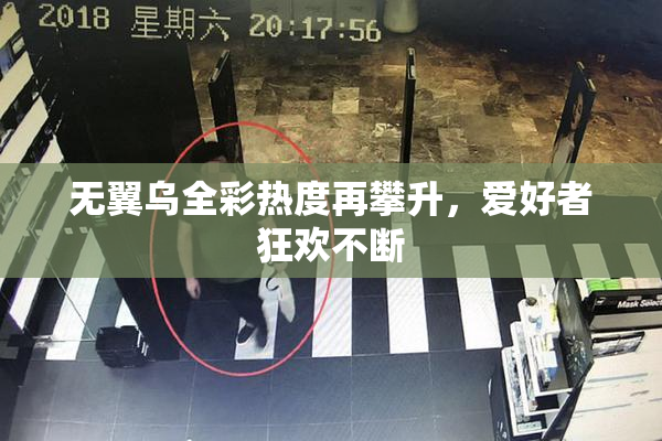 无翼乌全彩热度再攀升，爱好者狂欢不断
