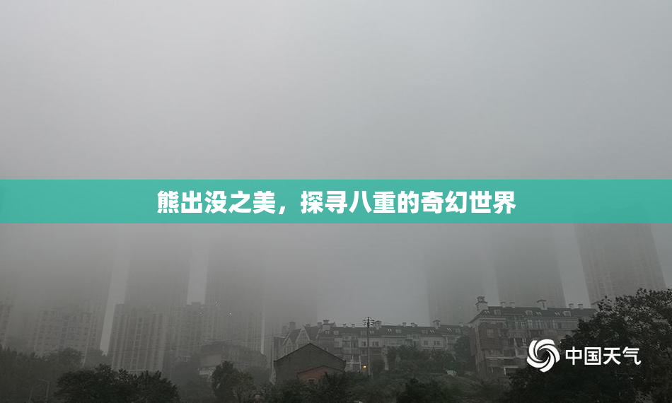 熊出没之美，探寻八重的奇幻世界