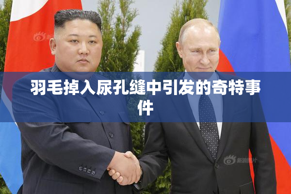 羽毛掉入尿孔缝中引发的奇特事件