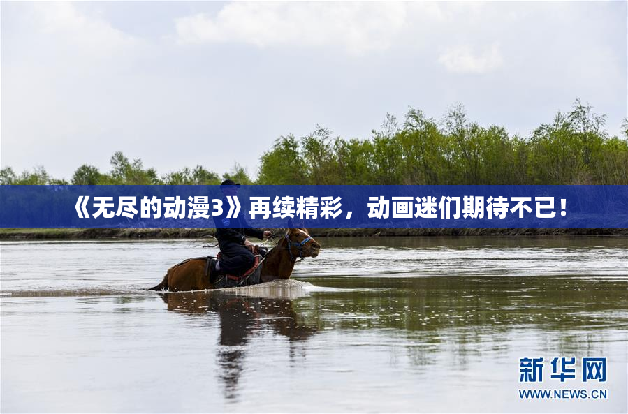《无尽的动漫3》再续精彩，动画迷们期待不已！