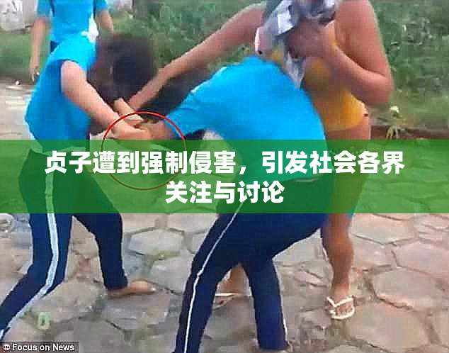 贞子遭到强制侵害，引发社会各界关注与讨论