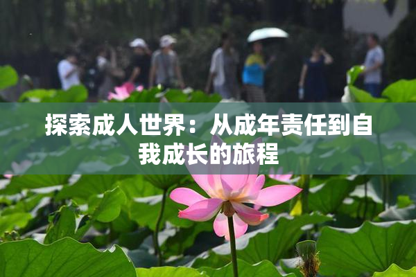 探索成人世界：从成年责任到自我成长的旅程