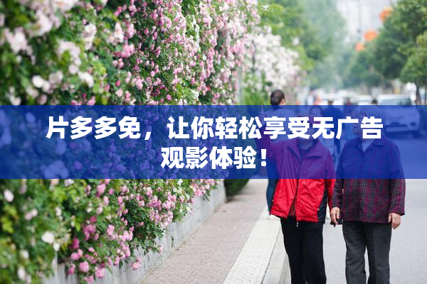 片多多免，让你轻松享受无广告观影体验！