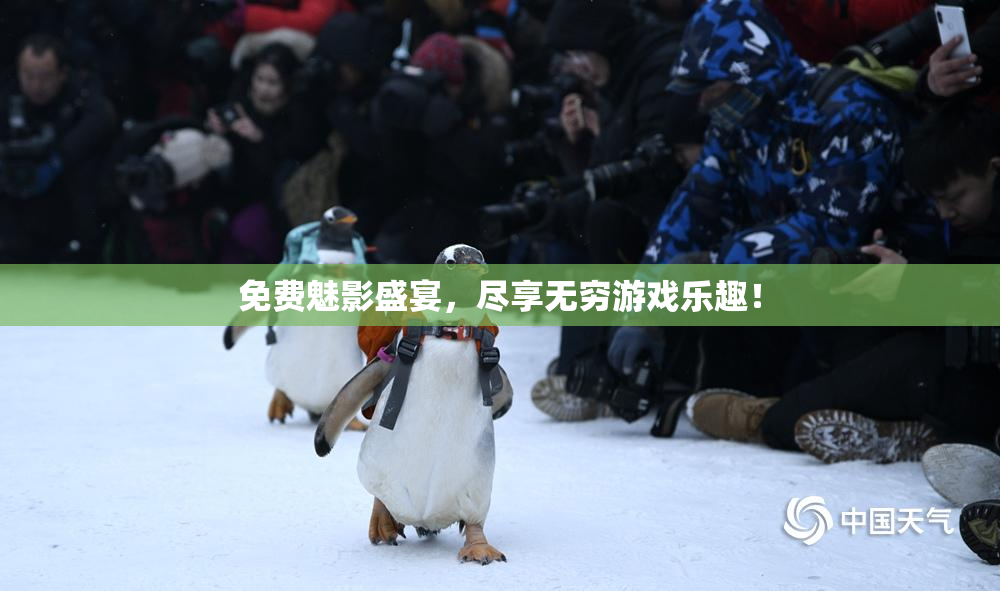 免费魅影盛宴，尽享无穷游戏乐趣！