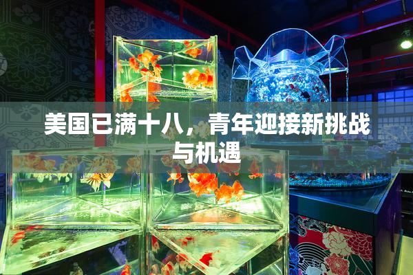 美国已满十八，青年迎接新挑战与机遇