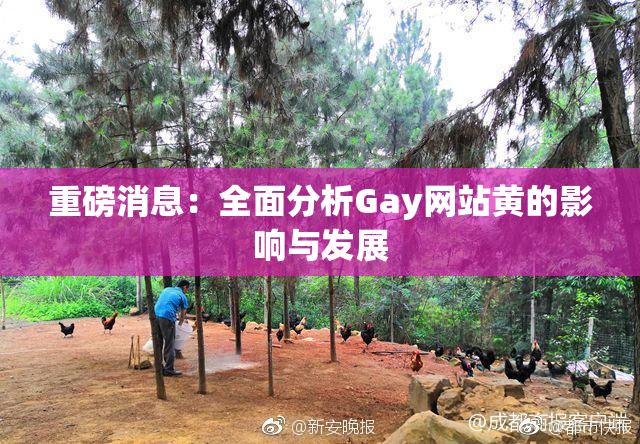 重磅消息：全面分析Gay网站黄的影响与发展