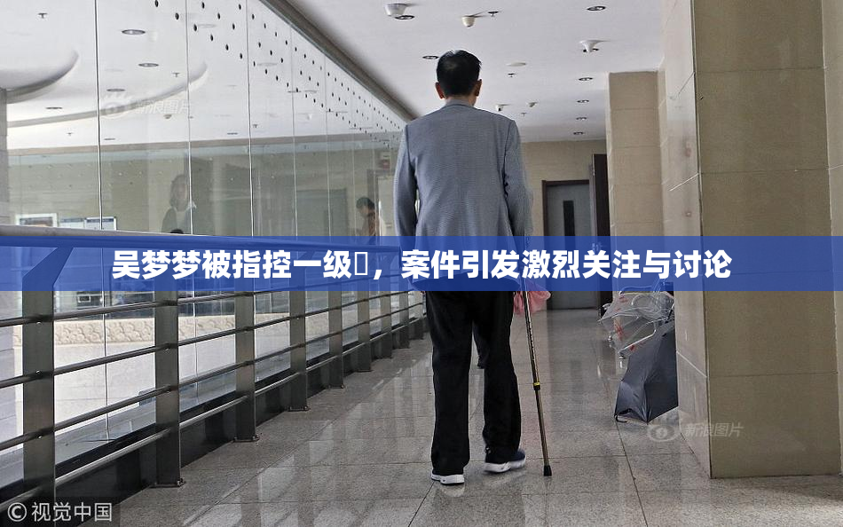 吴梦梦被指控一级婬，案件引发激烈关注与讨论