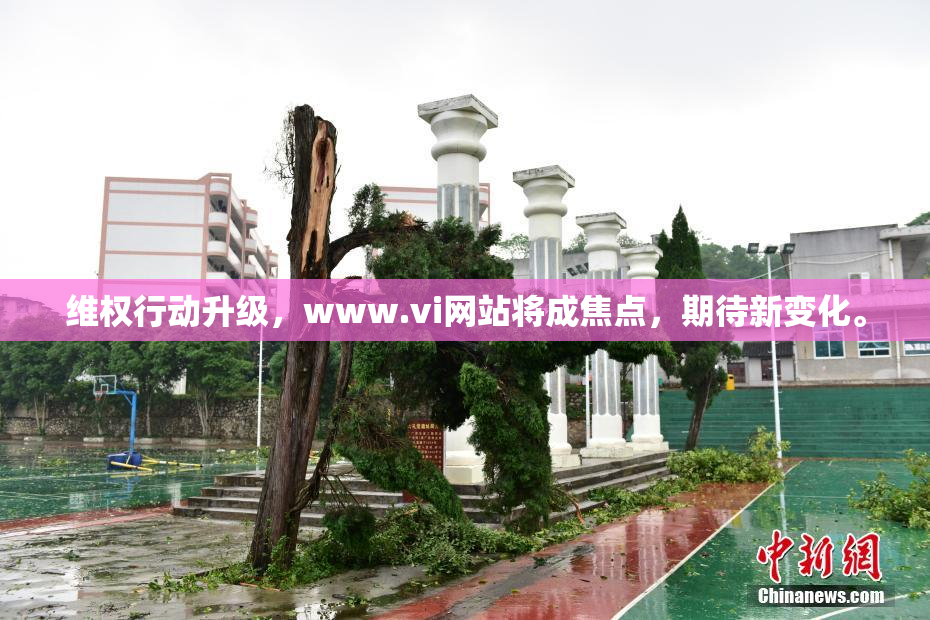 维权行动升级，www.vi网站将成焦点，期待新变化。
