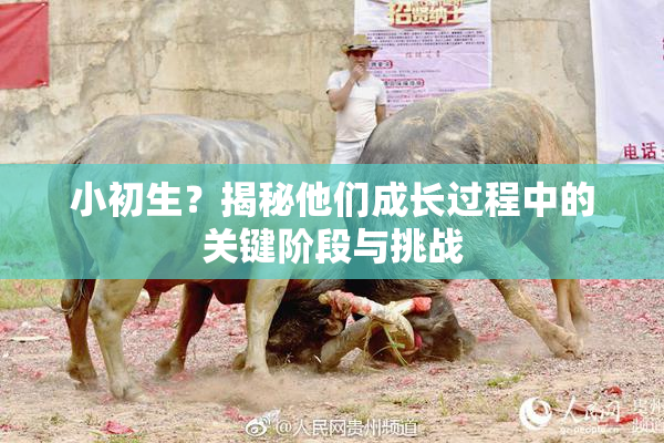 小初生？揭秘他们成长过程中的关键阶段与挑战