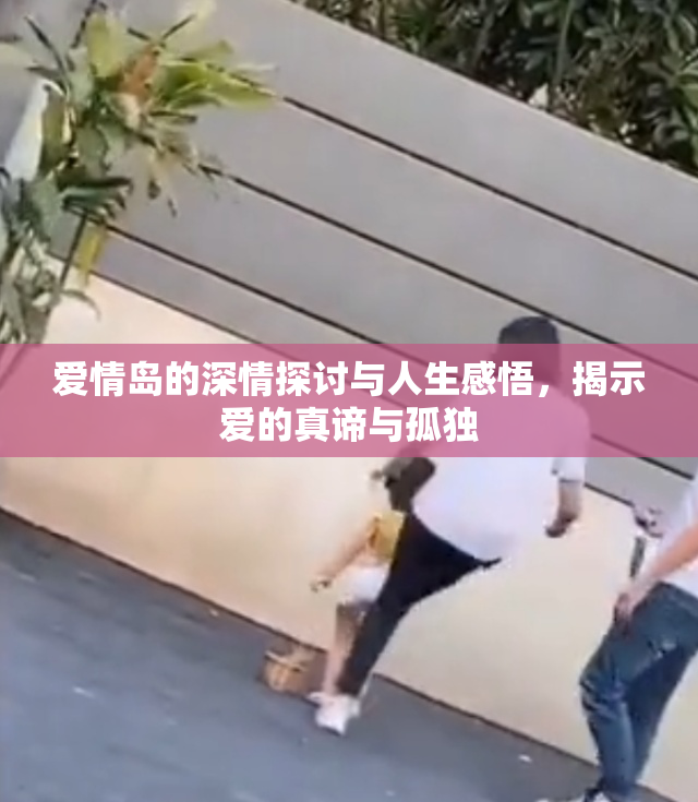 爱情岛的深情探讨与人生感悟，揭示爱的真谛与孤独