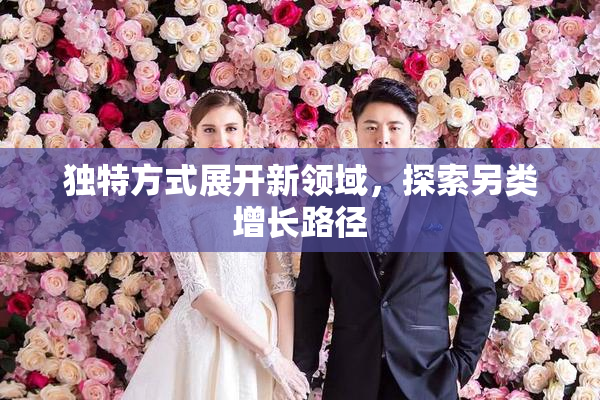 独特方式展开新领域，探索另类增长路径