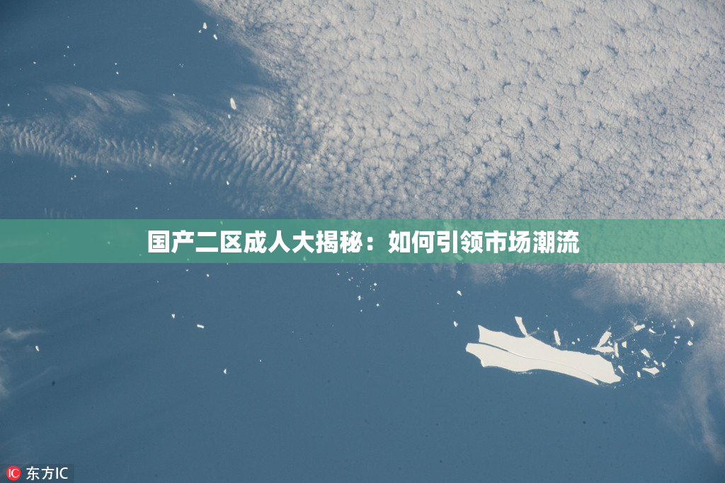 国产二区成人大揭秘：如何引领市场潮流