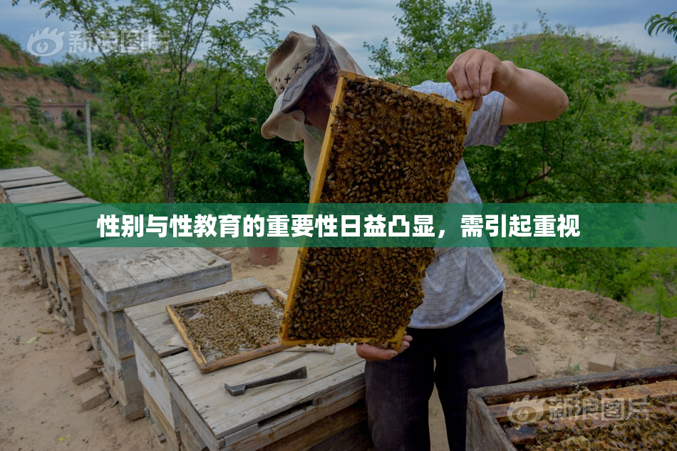 性别与性教育的重要性日益凸显，需引起重视