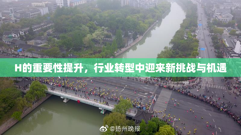 H的重要性提升，行业转型中迎来新挑战与机遇