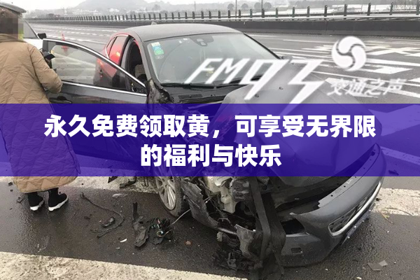 永久免费领取黄，可享受无界限的福利与快乐