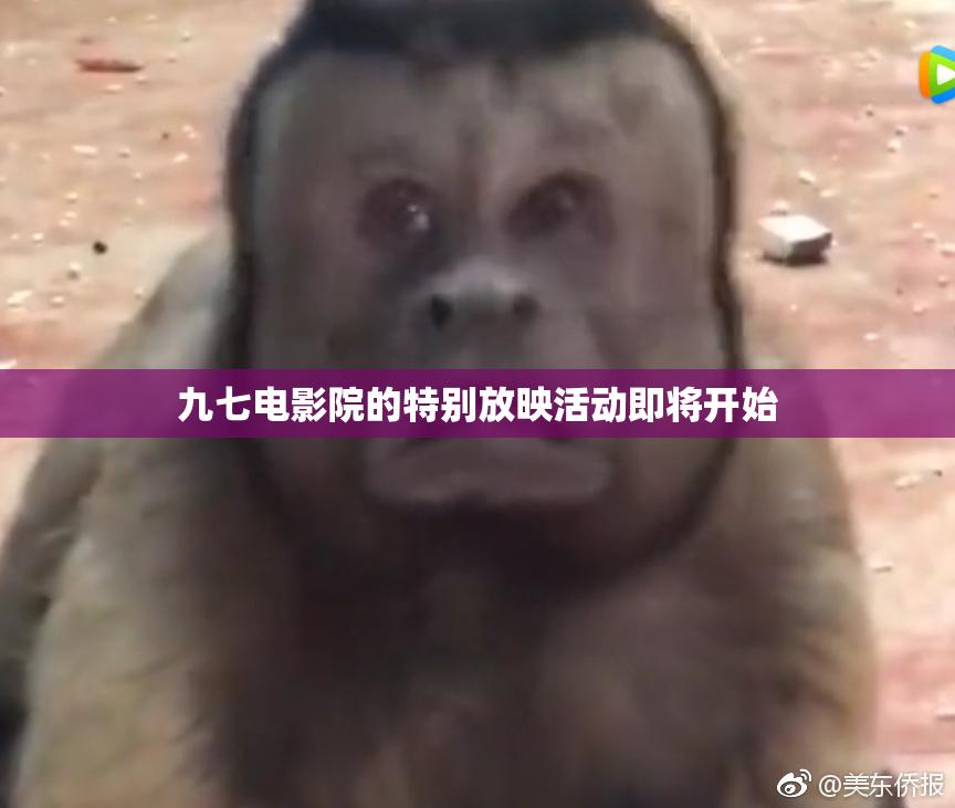 九七电影院的特别放映活动即将开始