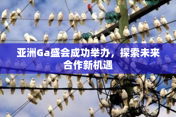 亚洲Ga盛会成功举办，探索未来合作新机遇