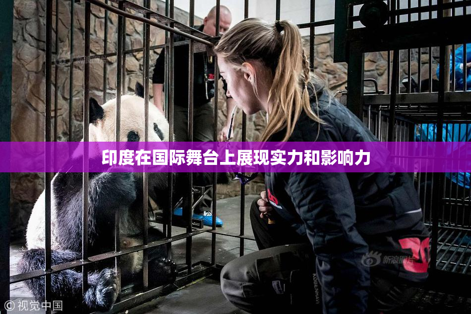 印度在国际舞台上展现实力和影响力