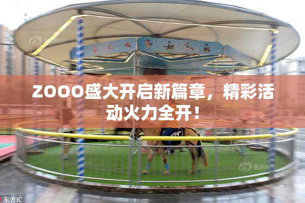 ZOOO盛大开启新篇章，精彩活动火力全开！