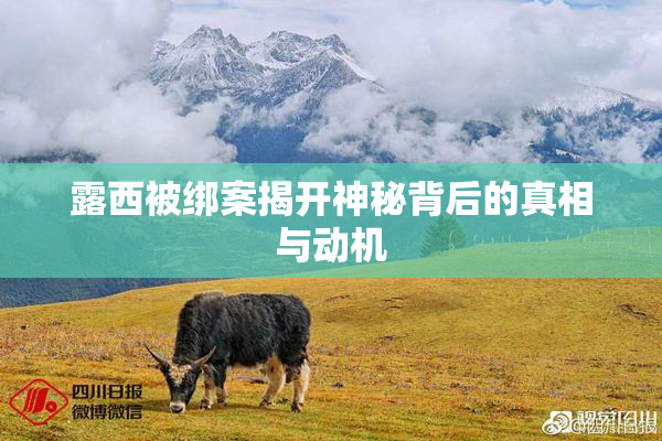 露西被绑案揭开神秘背后的真相与动机