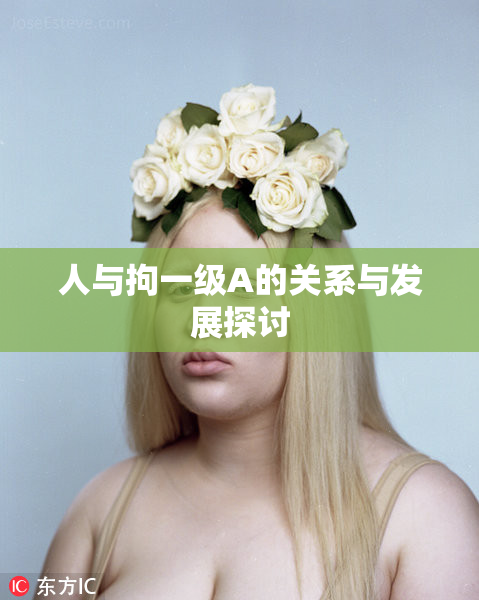 人与拘一级A的关系与发展探讨