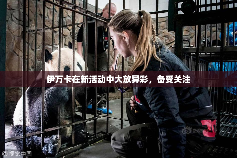 伊万卡在新活动中大放异彩，备受关注