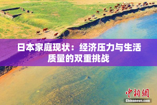 日本家庭现状：经济压力与生活质量的双重挑战