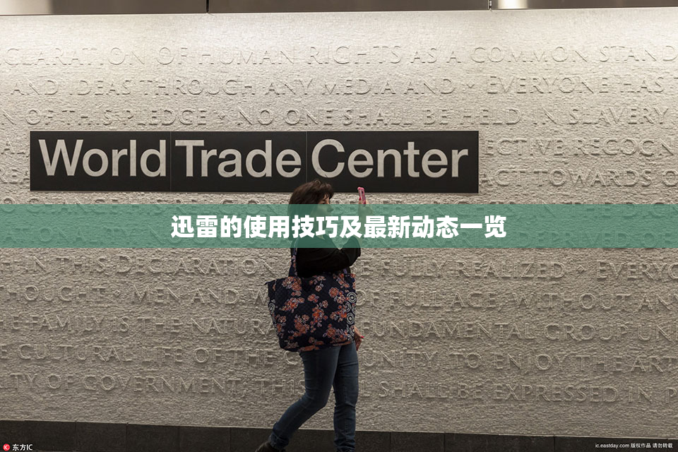 迅雷的使用技巧及最新动态一览