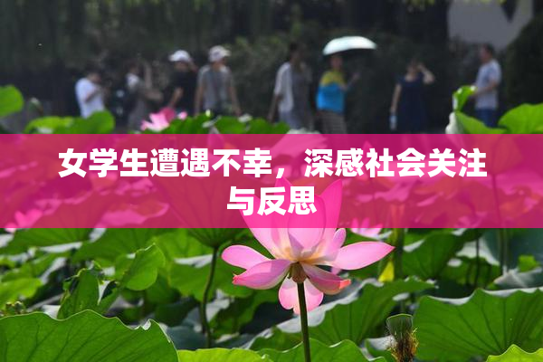 女学生遭遇不幸，深感社会关注与反思