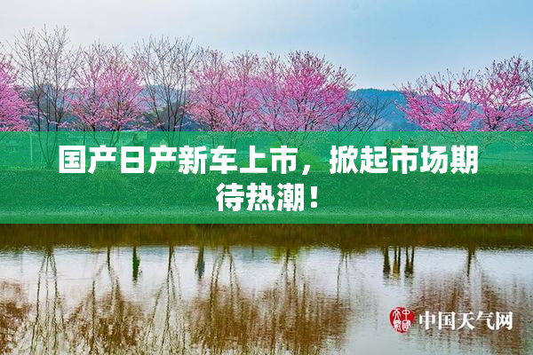 国产日产新车上市，掀起市场期待热潮！