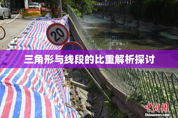 三角形与线段的比重解析探讨