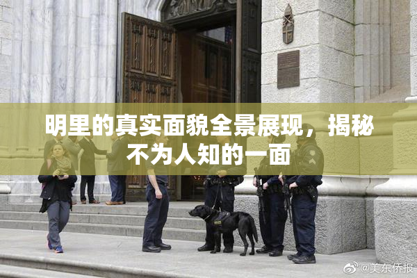 明里的真实面貌全景展现，揭秘不为人知的一面