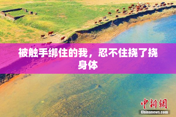 被触手绑住的我，忍不住挠了挠身体