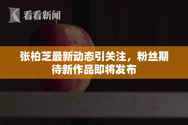 张柏芝最新动态引关注，粉丝期待新作品即将发布