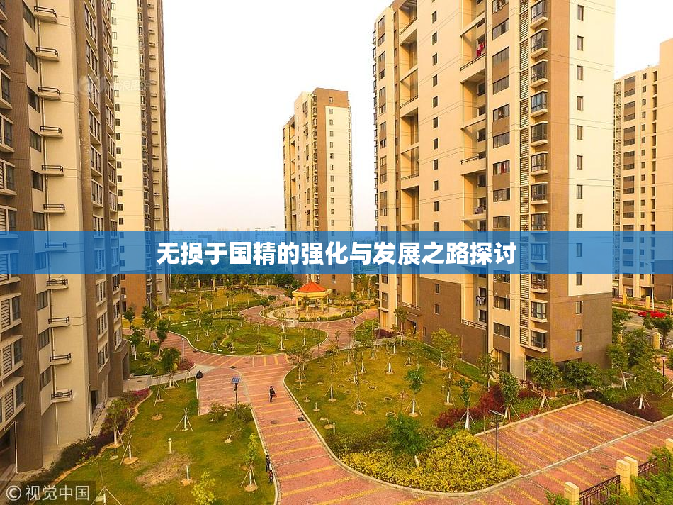 无损于国精的强化与发展之路探讨