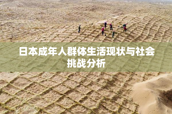 日本成年人群体生活现状与社会挑战分析