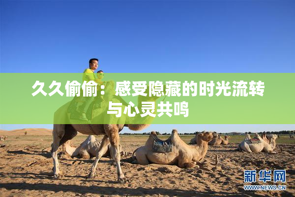 久久偷偷：感受隐藏的时光流转与心灵共鸣