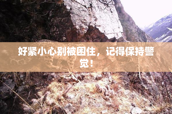 好紧小心别被困住，记得保持警觉！