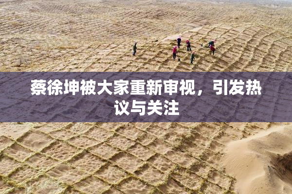 蔡徐坤被大家重新审视，引发热议与关注