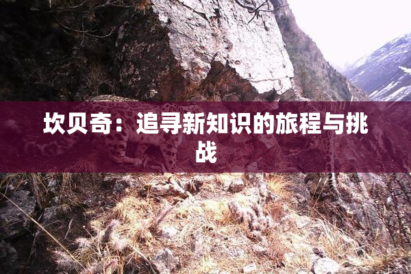 坎贝奇：追寻新知识的旅程与挑战