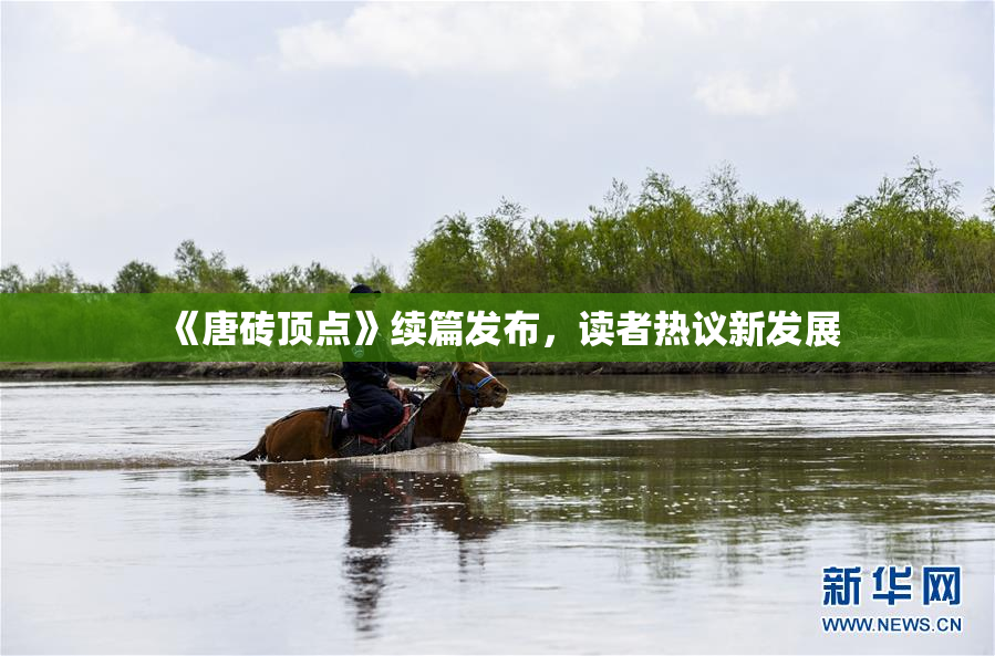 《唐砖顶点》续篇发布，读者热议新发展