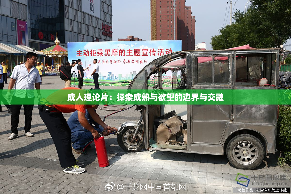 成人理论片：探索成熟与欲望的边界与交融