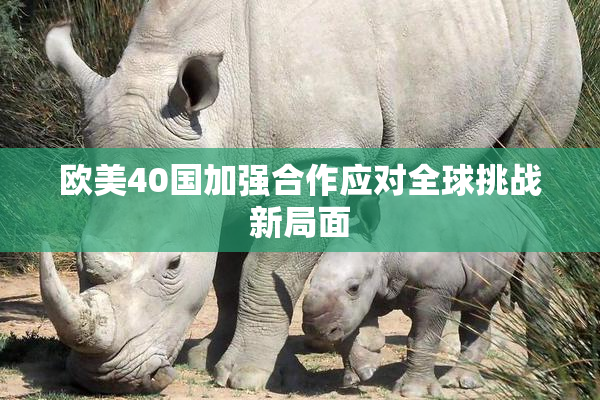 欧美40国加强合作应对全球挑战新局面