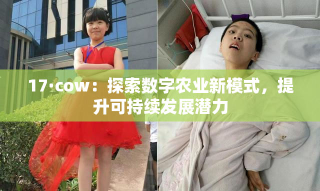 17·cow：探索数字农业新模式，提升可持续发展潜力