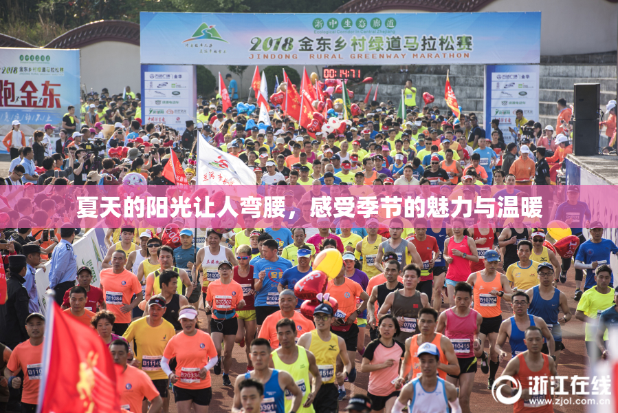 夏天的阳光让人弯腰，感受季节的魅力与温暖