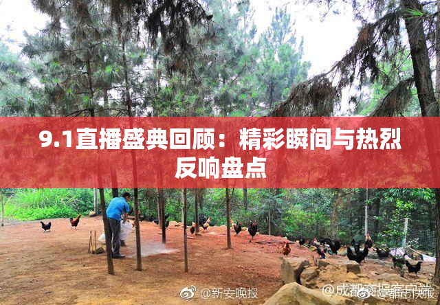 9.1直播盛典回顾：精彩瞬间与热烈反响盘点