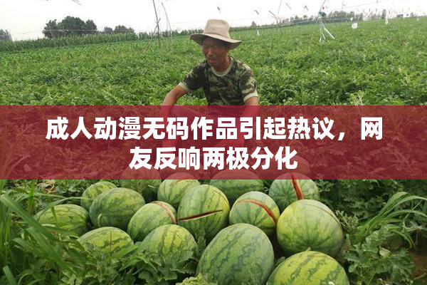 成人动漫无码作品引起热议，网友反响两极分化