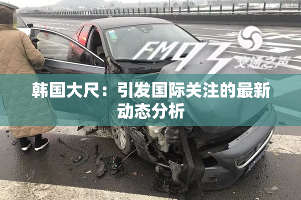 韩国大尺：引发国际关注的最新动态分析